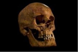 Cater Galante King Richard III Skull